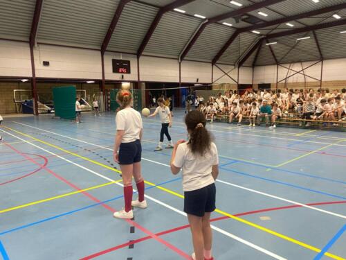 affda1d4-1498-4cdb-8783-f1e2ff085d0a