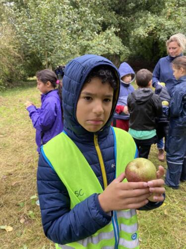 458200253 1102539271315483 1614146317968163995 n