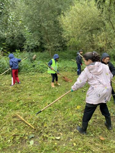 460167539 2021253394983479 3546647123875534723 n