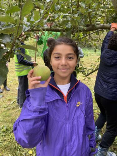 460262521 516116184496553 944609189014971998 n