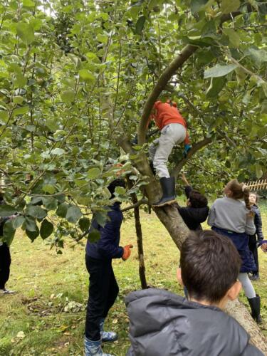 460995244 934848245352513 3138741626937679607 n