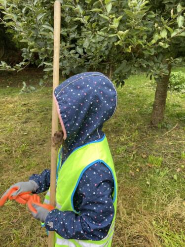 461172142 4191834801039171 2871399775947564678 n