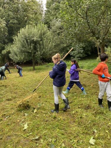 461277595 8109096405883054 4966948845693851816 n