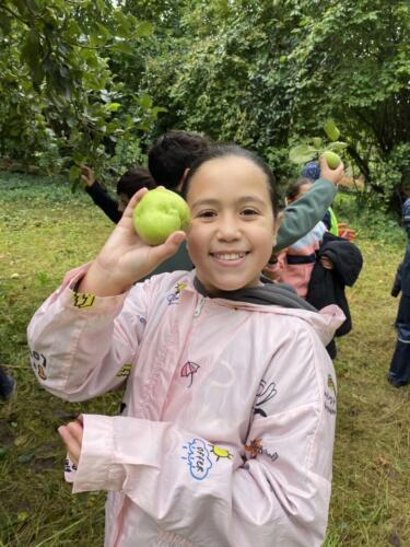 461279741 501594762750868 1338521467778122202 n