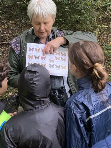 461280373 559823929943563 3033530284567531840 n