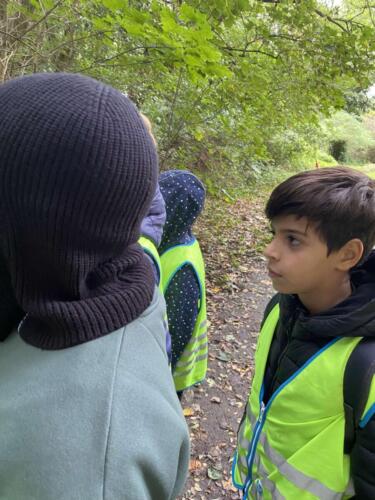 461296963 500440372984943 5044511657876898982 n