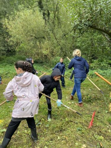 461312701 494067760103157 6723910667456696368 n