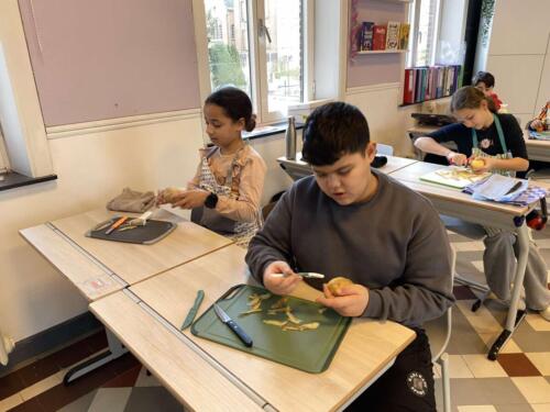 482426681 2069711770211872 3510532085533740088 n